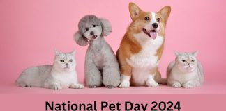 Celebrating National Pet Day 2024: Embracing the Beauty of Indie Pets