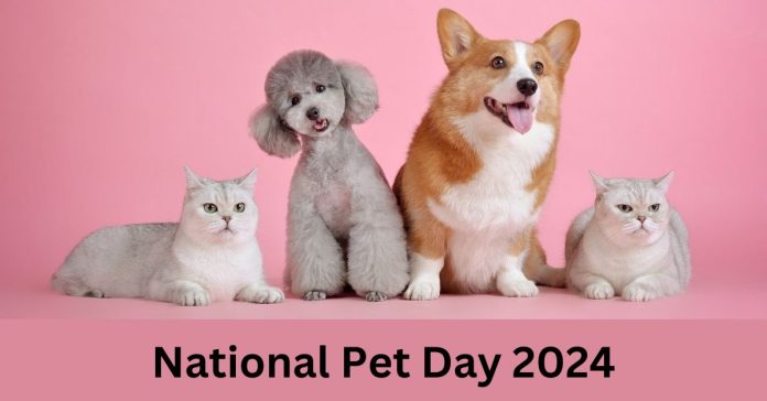 Celebrating National Pet Day 2024: Embracing the Beauty of Indie Pets