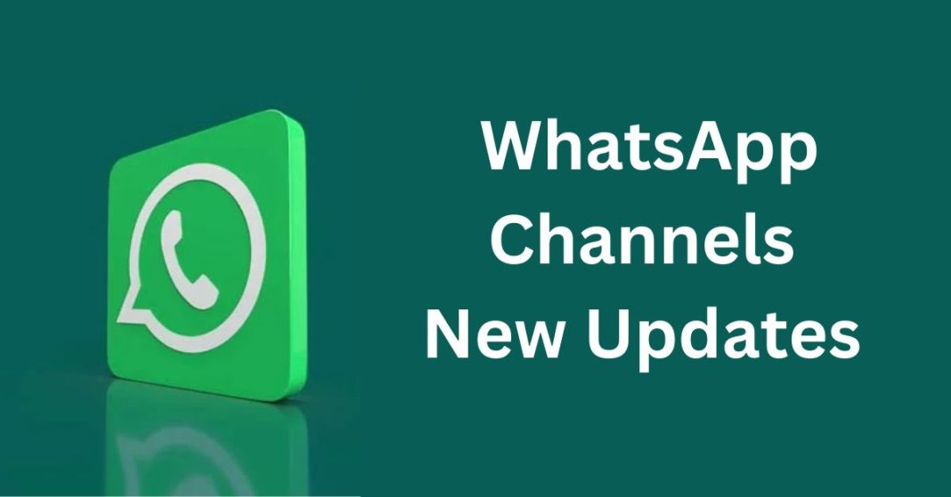 WhatsApp Channels New Updates: Verified Badges, Redesigned Recommendations, and More