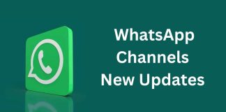 WhatsApp Channels New Updates: Verified Badges, Redesigned Recommendations, and More