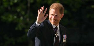 Prince Harry's unusual visa: Three main areas covered in security checks