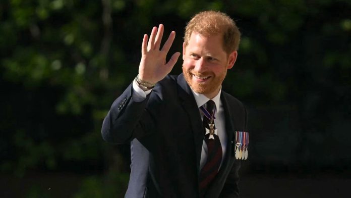 Prince Harry's unusual visa: Three main areas covered in security checks