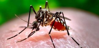 Death in Shivmoga suspected to be due to Zika virus infection