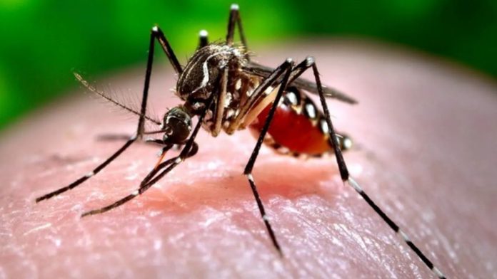 Death in Shivmoga suspected to be due to Zika virus infection