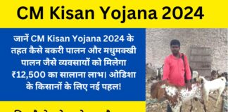 CM Kisan Yojana 2024: Now goat and beekeepers will get ₹ 12,500 annual benefit