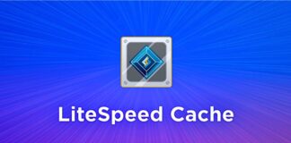 LiteSpeed ​​Cache Plugin Bug puts millions of websites at risk, update immediately!