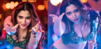 Tamannaah's character revealed in Stree 2