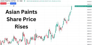 Asian Paints share price rise