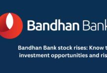 Bandhan Bank stock rises: Know the investment opportunities and risks