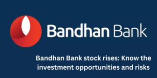 Bandhan Bank stock rises: Know the investment opportunities and risks