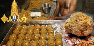 Changing ghee brands and the controversy over 'animal fat' in Tirupati laddu