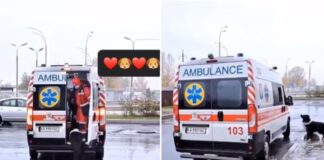 Dog chases owner's ambulance, emotional video ends on a heartwarming note