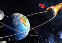 Earth to get a new mini-moon: Rare space rock captured by planet's gravitational force