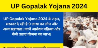 UP Gopalak Yojana 2024- Now the government will give a loan of 9 lakhs and other assistance for animal husbandry, know how to get the benefit