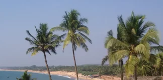 1 Killed, 20 Rescued As Tourist Boat Sinks Off Beach In Goa