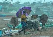 Cyclone Fengal: Record rainfall in Puducherry, schools closed; weakened storm moves towards Karnataka-Kerala