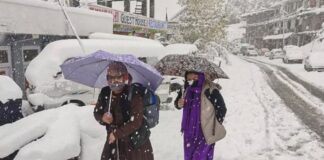 Himachal snowfall: Higher tourist influx brings Christmas cheer in Shimla, Manali