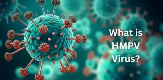 HMPV virus strikes: Two infants in Bengaluru infected, no travel history