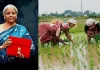 Budget 2025: Nirmala Sitharaman announces PM Dhan Dhanya Krishi Yojana for farmers