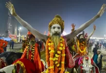 Maha Kumbh Live: Huge crowd gathered for 'Amrit Snan' in Prayagraj on Basant Panchami, government offices closed