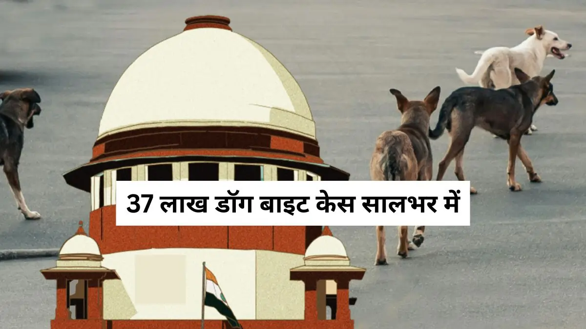 Meat eaters call themselves 'animal lovers': Government's comment in Supreme Court, 37 lakh dog bite cases in a year