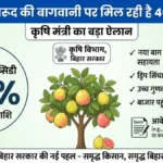Amrud Bagwani Subsidy Bihar: बिहार में अमरूद की बागवानी पर मिल रही है 40% सब्सिडी, कृषि मंत्री का बड़ा ऐलान